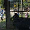 Bakancsos kirándulás