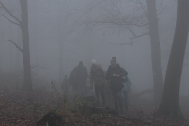 Novemberi bakancsos kirándulás Hontra
