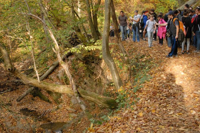 Őszi bakancsos a Mecsekben