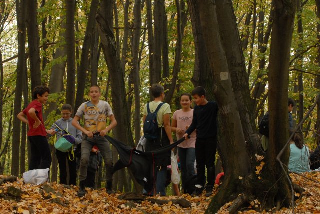Őszi bakancsos a Mecsekben