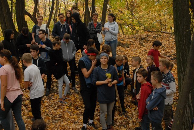 Őszi bakancsos a Mecsekben