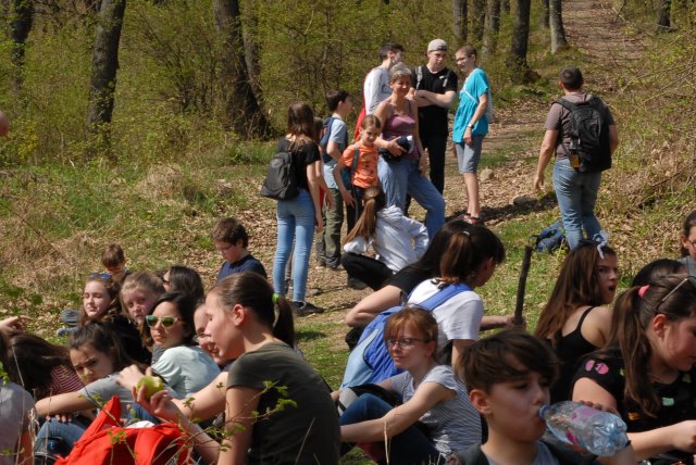 Tavaszi bakancsos a Börzsönyben