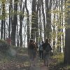 Tavaszi bakancsos a Börzsönyben