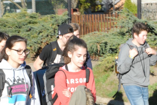 Tavaszi bakancsos kirándulás a Börzsönyben